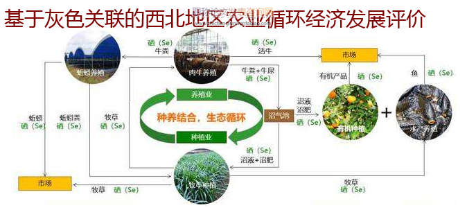 基于灰色關(guān)聯(lián)的西北地區(qū)農(nóng)業(yè)循環(huán)經(jīng)濟(jì)發(fā)展評價(jià)