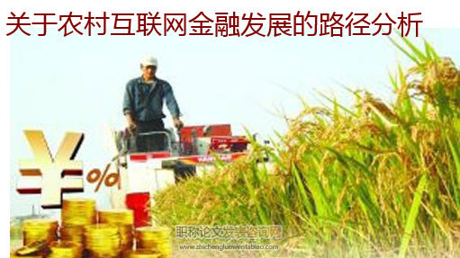 關(guān)于農(nóng)村互聯(lián)網(wǎng)金融發(fā)展的路徑分析