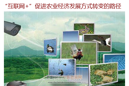 “互聯網+”促進農業經濟發展方式轉變的路徑