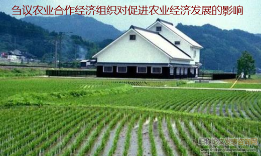 芻議農業合作經濟組織對促進農業經濟發展的影響