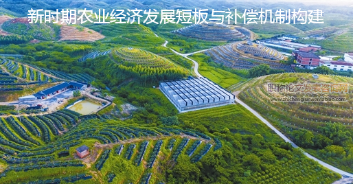 新時期農業經濟發展短板與補償機制構建