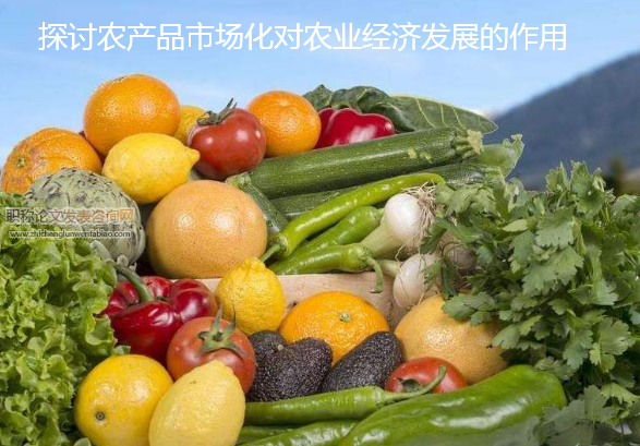 探討農產品市場化對農業經濟發展的作用