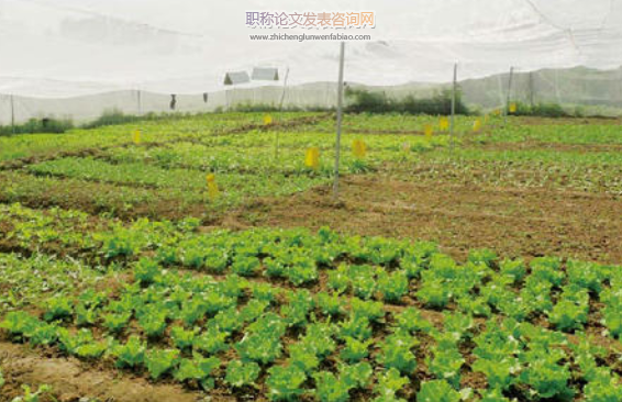 有機食品種植方面論文發表期刊