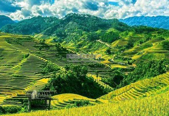 農(nóng)業(yè)經(jīng)濟發(fā)展中優(yōu)化生態(tài)環(huán)境的作用