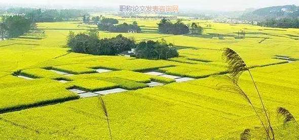 農業經濟發展模式創新之我見