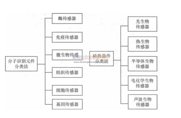 生物傳感器方面的論文發表價格多少