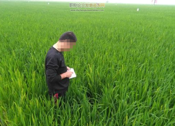 農村基層技術員晉升林業高級工程師的條件要求