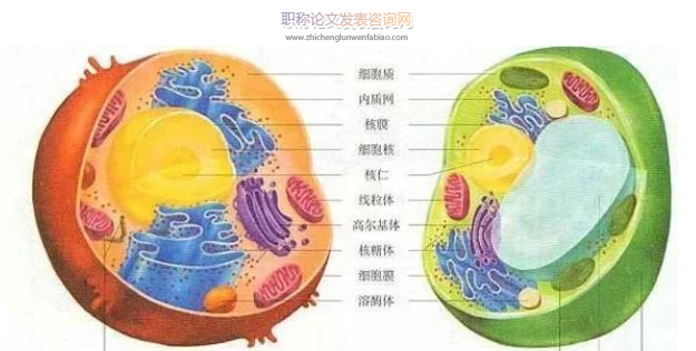 探究高中生物教學中如何培養學生的審題能力