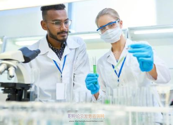 醫學論文倫理證明怎么開