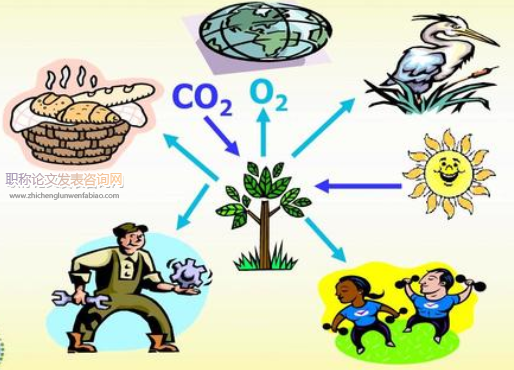 關于初中生物教學生活化的研究