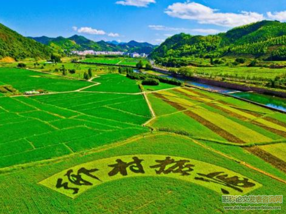 鄉村振興倡議下休閑農業發展路徑研究