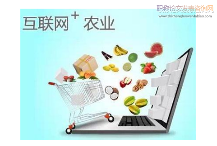 “互聯網+農業”模式下“瓊枝”包裝銷售研究