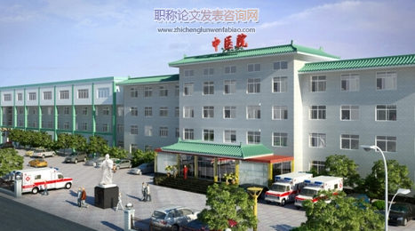 研究型中醫院信息化建設關鍵問題探析