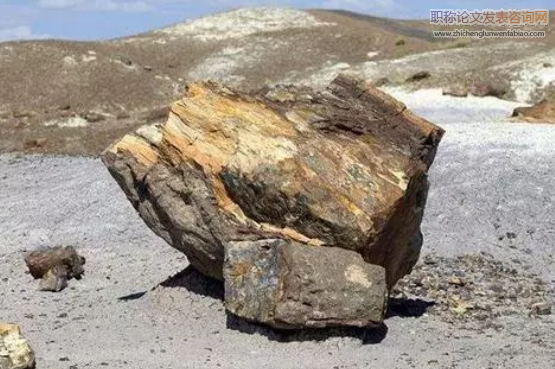 龍馬溪組頁巖微觀結構、地震巖石物理特征與建模