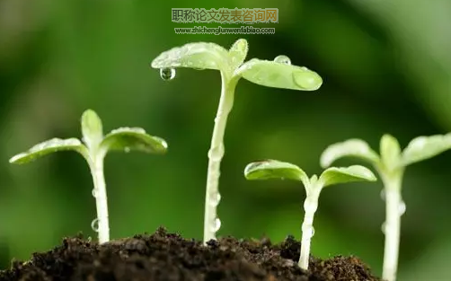 中國農(nóng)業(yè)綠色轉(zhuǎn)型發(fā)展的生態(tài)補(bǔ)償政策研究