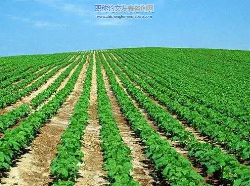 綠色農(nóng)業(yè)生產(chǎn)：化肥減量與有機(jī)肥替代進(jìn)展評價