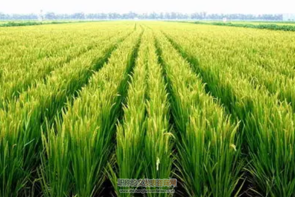 供給側(cè)改革與我國農(nóng)業(yè)綠色轉(zhuǎn)型