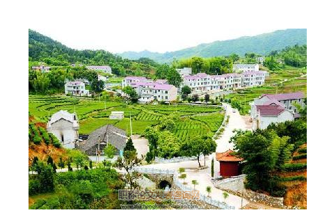 農村人才缺失與新農村建設的思考