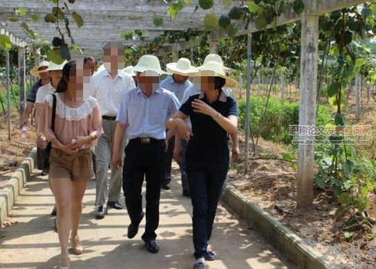 探索湘西州新農村人才隊伍發展的新思路