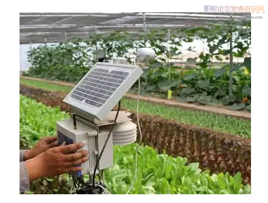 計算機及其網絡在農業生產領域的應用研究