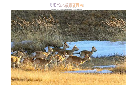 三江源生態保護和建設一期工程生態成效評估