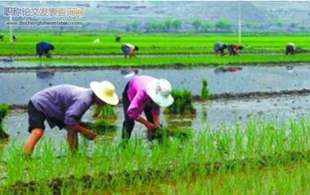 農村勞動力轉移能當做課題研究嗎