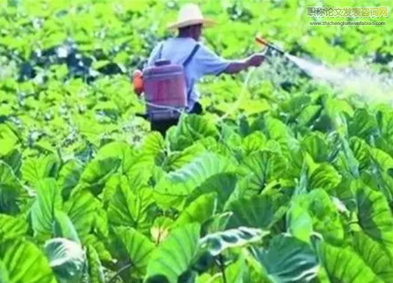 蔬菜種植農戶施用生物農藥意愿研究