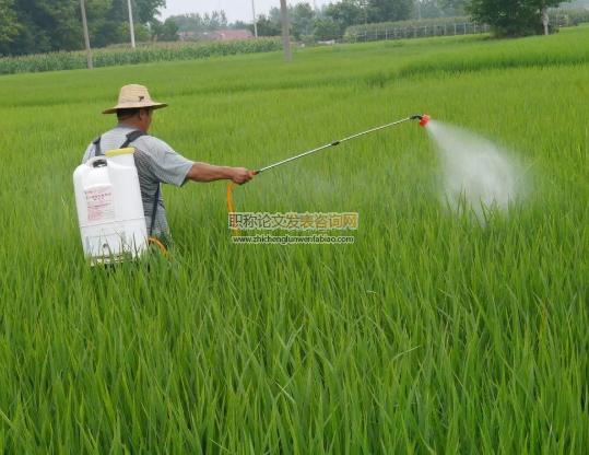 農(nóng)藥施用技術(shù)培訓減少農(nóng)藥過量施用了嗎？