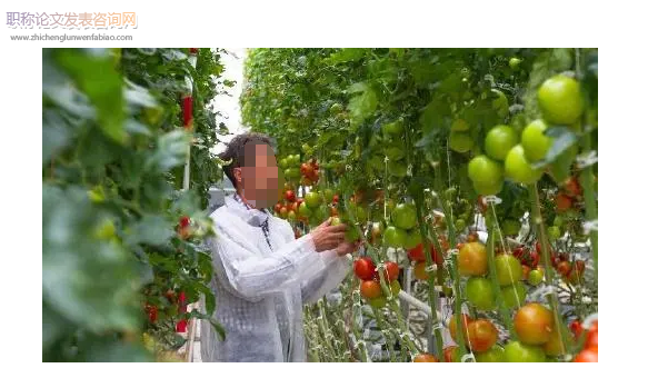 農業技術擴散中的農戶采用行為研究:國外進展與國內趨勢