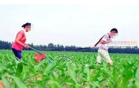我國北方玉米施肥產量效應和經濟效益分析