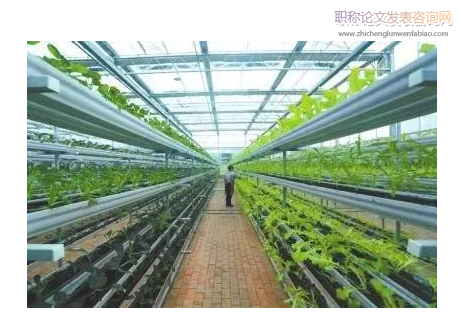 現代農業植物保護工作方法探究