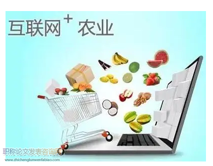 “互聯網+”時代如何推動農業經濟發展
