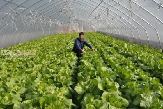 蔬菜種植戶綠色生產技術采用行為及其影響因素探究