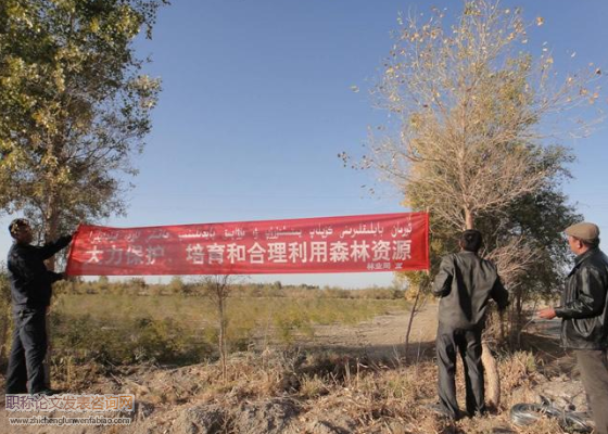 國內(nèi)林業(yè)資源保護管理措施建議