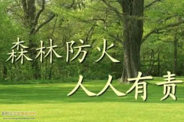 新時期林業保護工作存在問題及解決措施