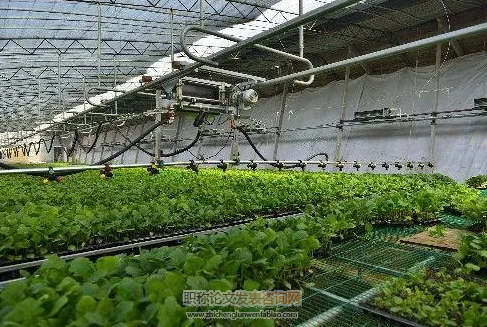 加快農業科技創新賦能農業高質量發展路