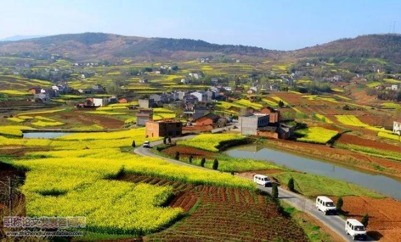以農業農村現代化建設特色社會主義鄉村振興道路