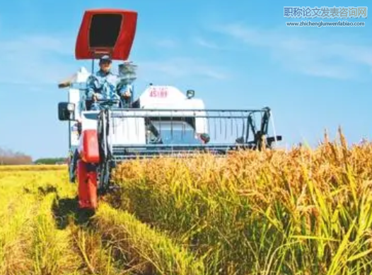 昌吉地區農業技術服務體系改革及其實踐效果分析
