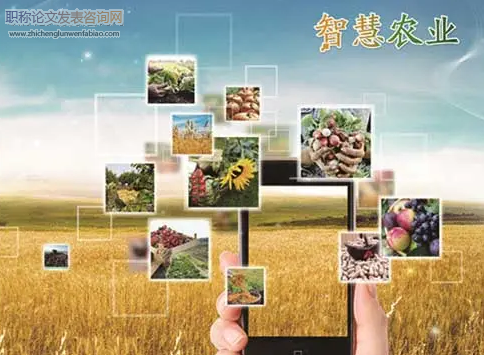 互聯網+”時代下農業經濟發展路徑分析