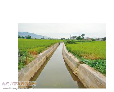 基于生態(tài)混凝土的農(nóng)田生態(tài)排水溝構(gòu)建與環(huán)境效應(yīng)