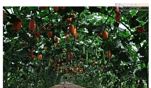 互聯網+”生態農業新模式分析