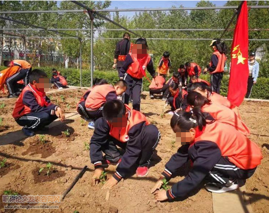基于小學勞動教育與綜合實踐課程相整合的思考與實踐