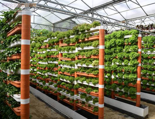 現代化新技術在農業種植生產中的應用