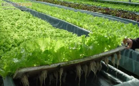 綠色農業種植技術的優勢及推廣對策關鍵要點
