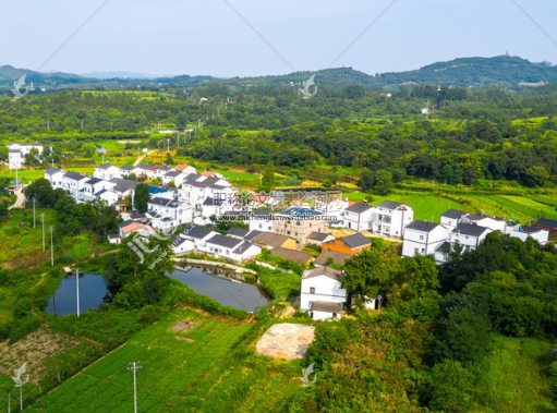 鄉(xiāng)村振興背景下肥城市農(nóng)村電商發(fā)展問(wèn)題探索