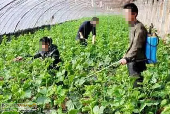 設(shè)施蔬菜種植戶施藥前選擇行為的影響因素研究