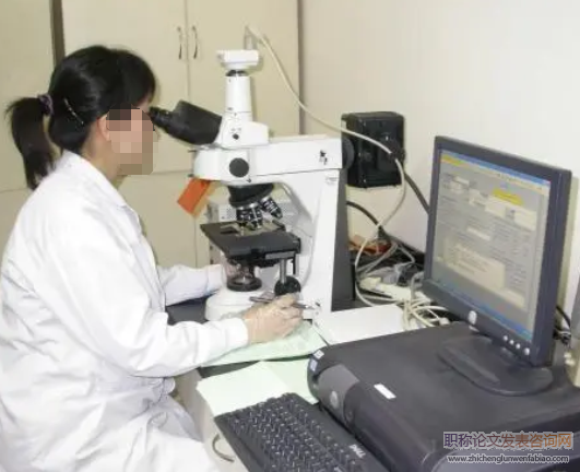 不同生化分析儀檢測系統的結果比對研究
