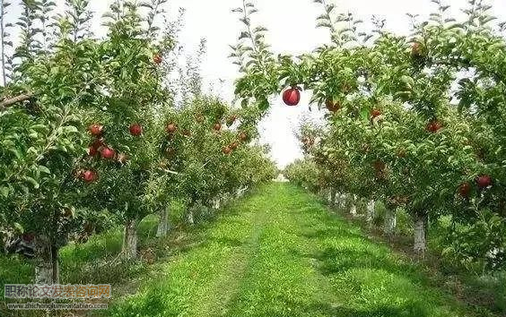 http://m.035110086.com/hzqk/8337.html