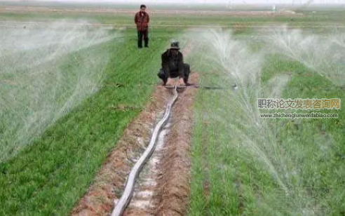 新時期農(nóng)業(yè)種植高效節(jié)水灌溉技術(shù)選擇研究