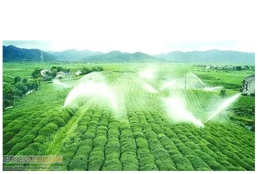農(nóng)業(yè)水利灌溉模式與節(jié)水技術措施